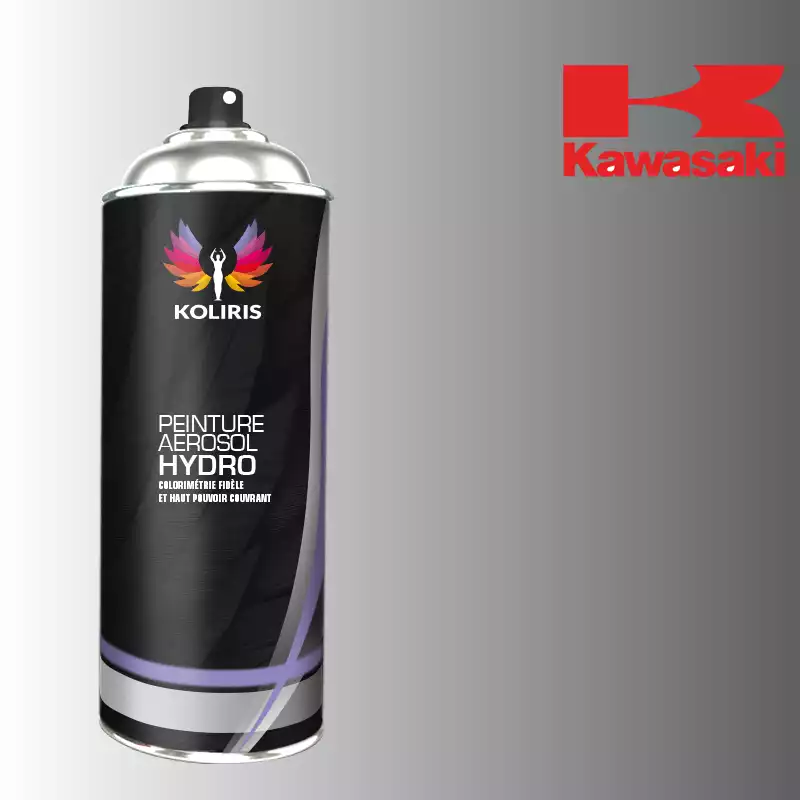 Bombe de peinture moto hydro Kawasaki Moto 400ml