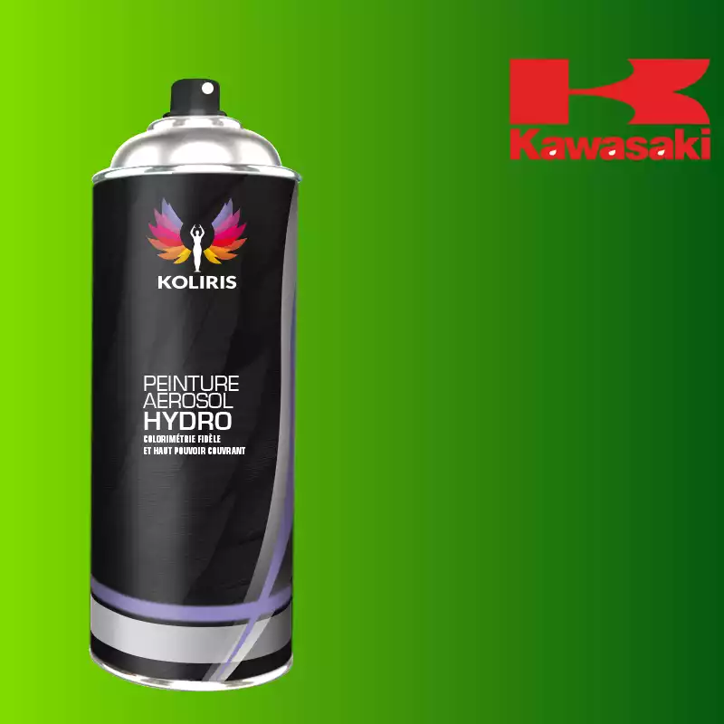 Bombe de peinture moto hydro Kawasaki Moto 400ml