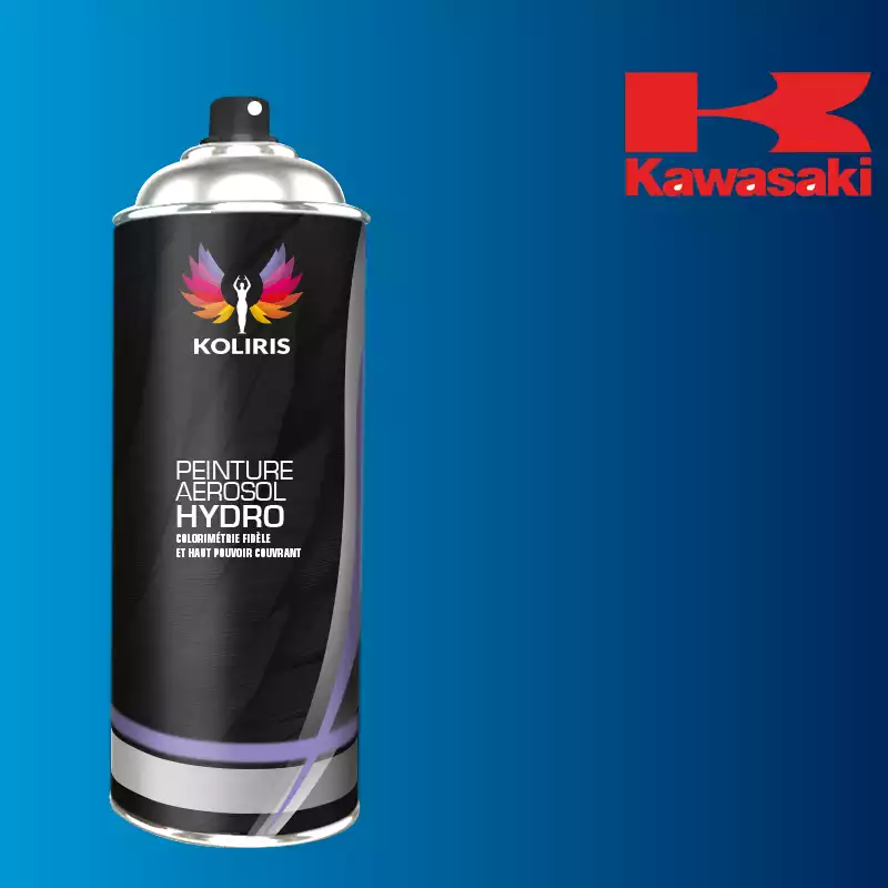 Bombe de peinture moto hydro Kawasaki Moto 400ml