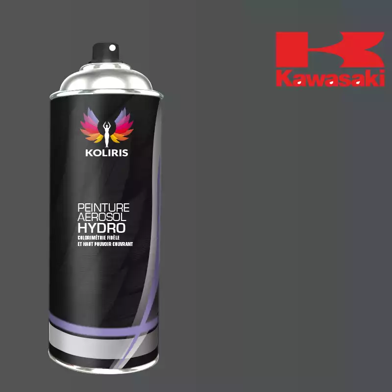 Bombe de peinture moto hydro Kawasaki Moto 400ml