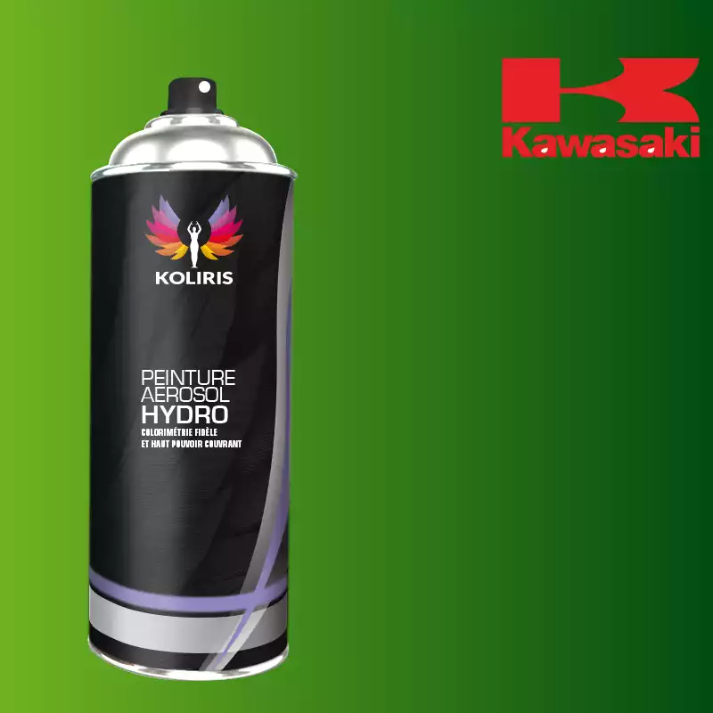 Bombe de peinture moto hydro Kawasaki Moto 400ml