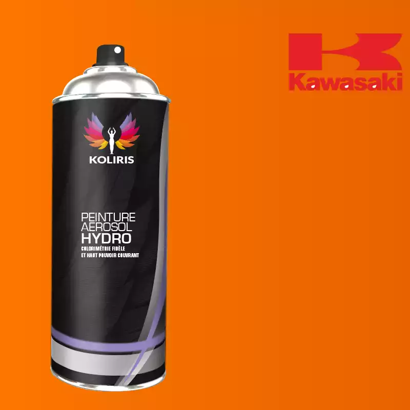 Bombe de peinture moto hydro Kawasaki Moto 400ml