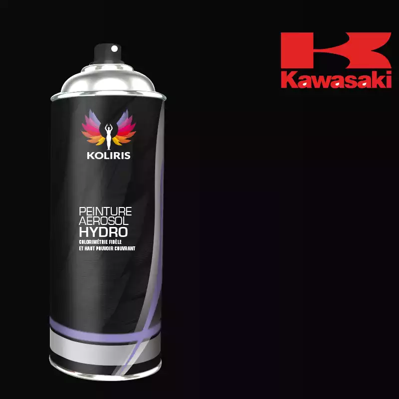 Bombe de peinture moto hydro Kawasaki Moto 400ml