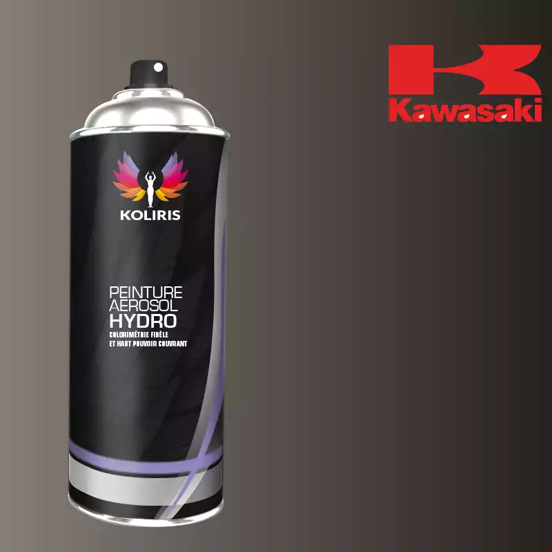 Bombe de peinture moto hydro Kawasaki Moto 400ml