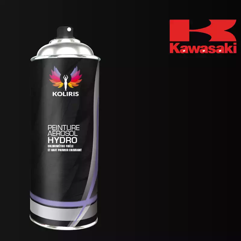 Bombe de peinture moto hydro Kawasaki Moto 400ml