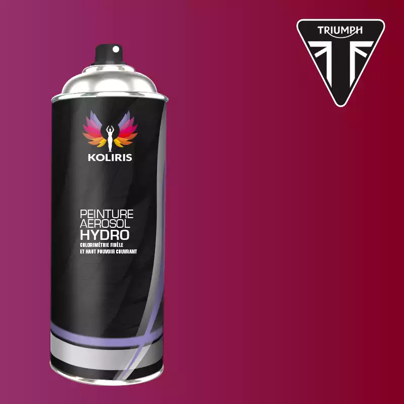 Bombe de peinture moto hydro Triumph Moto 400ml