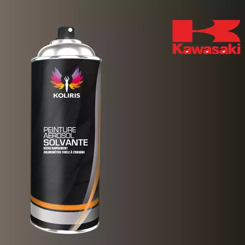 Bombe de peinture moto solvant Kawasaki Moto 400ml