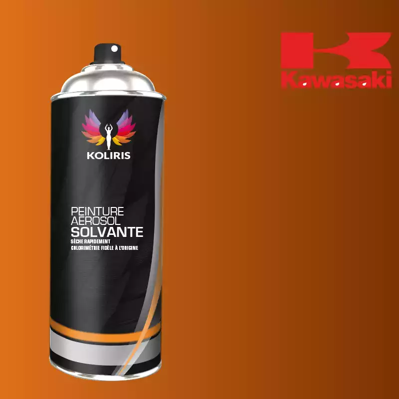 Bombe de peinture moto solvant Kawasaki Moto 400ml