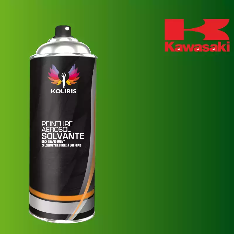 Bombe de peinture moto solvant Kawasaki Moto 400ml