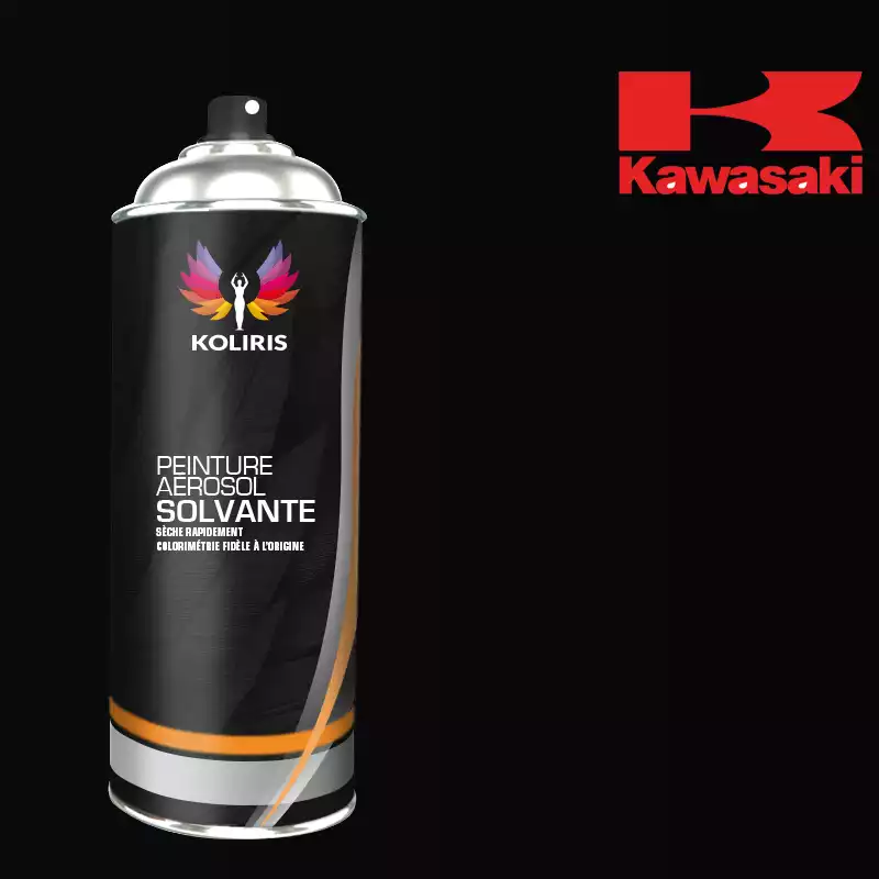 Bombe de peinture moto solvant Kawasaki Moto 400ml