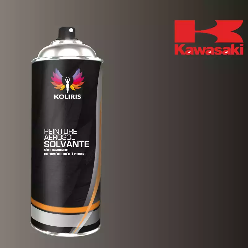 Bombe de peinture moto solvant Kawasaki Moto 400ml