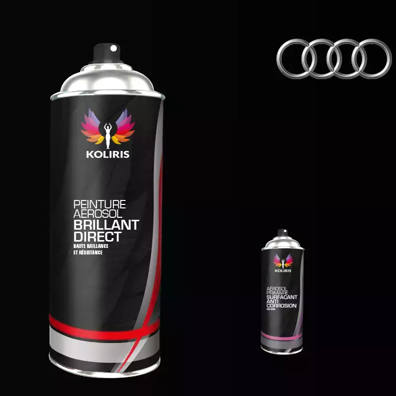 Pack 2 aérosols peinture voiture 1K brillant Audi 400ml