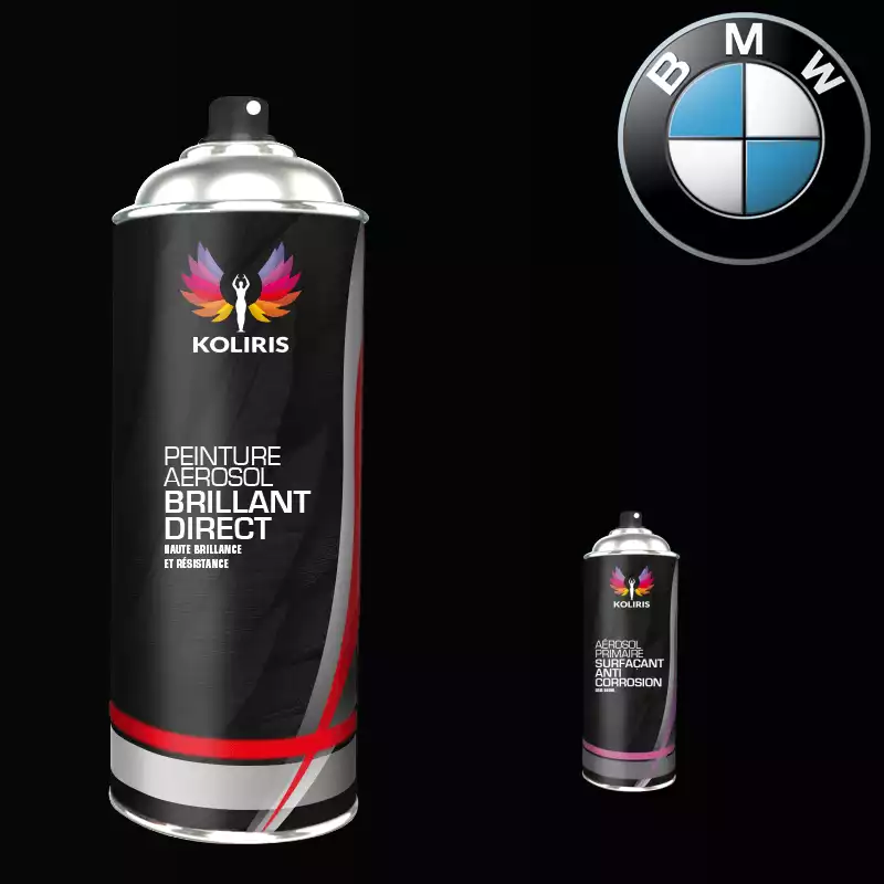 Pack 2 aérosols peinture voiture 1K brillant Bmw 400ml