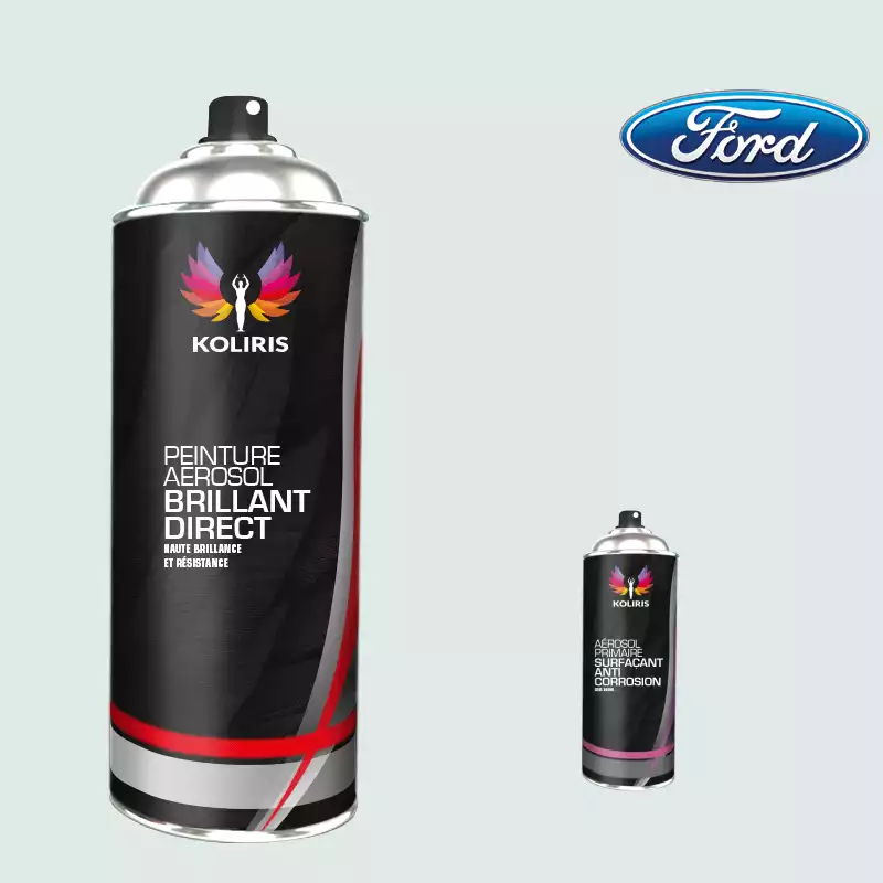 Pack 2 aérosols peinture voiture 1K brillant Ford 400ml