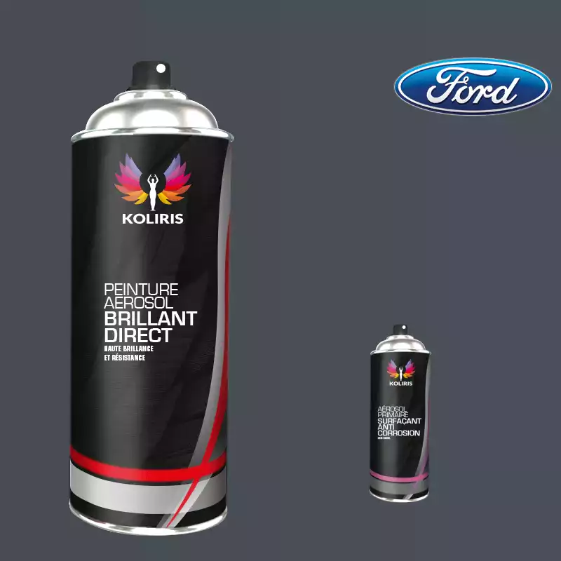 Pack 2 aérosols peinture voiture 1K brillant Ford 400ml