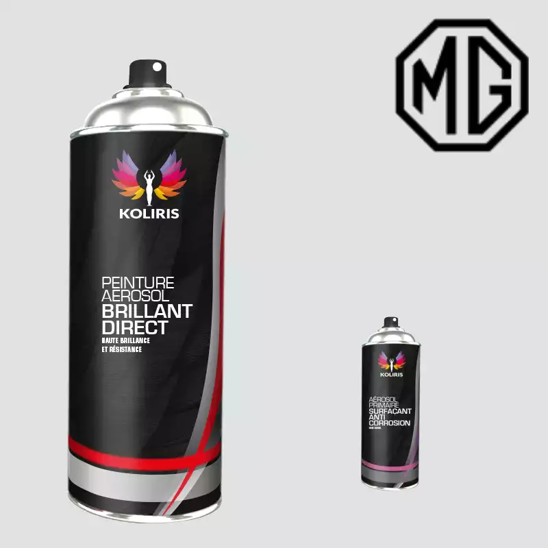 Pack 2 aérosols peinture voiture 1K brillant Mg 400ml