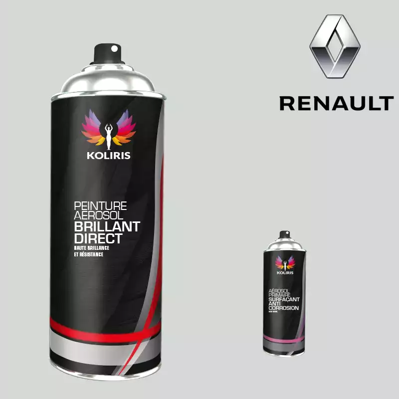 Pack 2 aérosols peinture voiture 1K brillant Renault 400ml