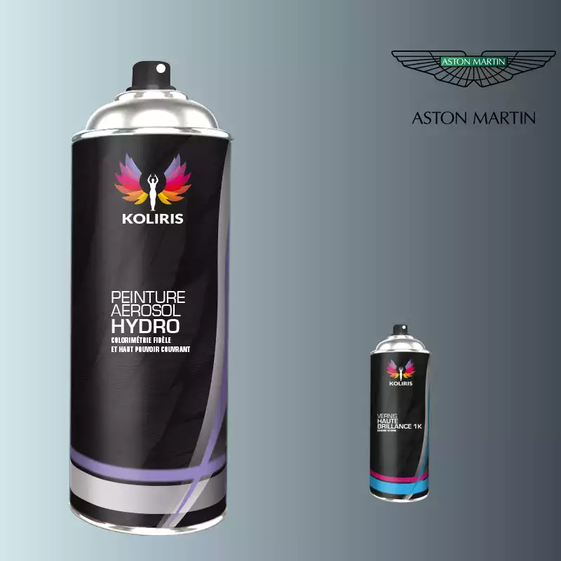Pack 2 aérosols peinture voiture hydro Aston Martin 400ml