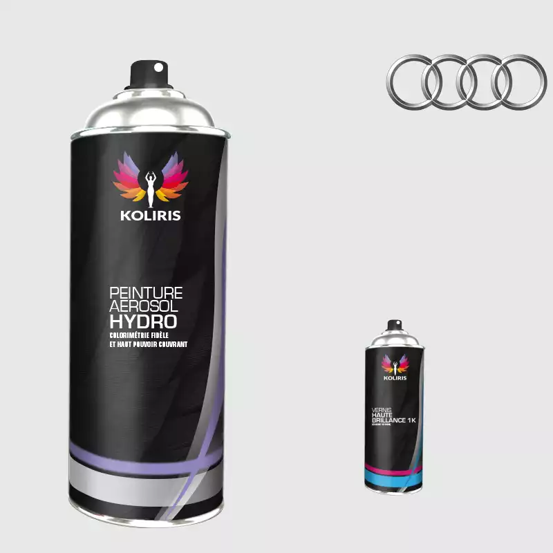 Pack 2 aérosols peinture voiture hydro Audi 400ml