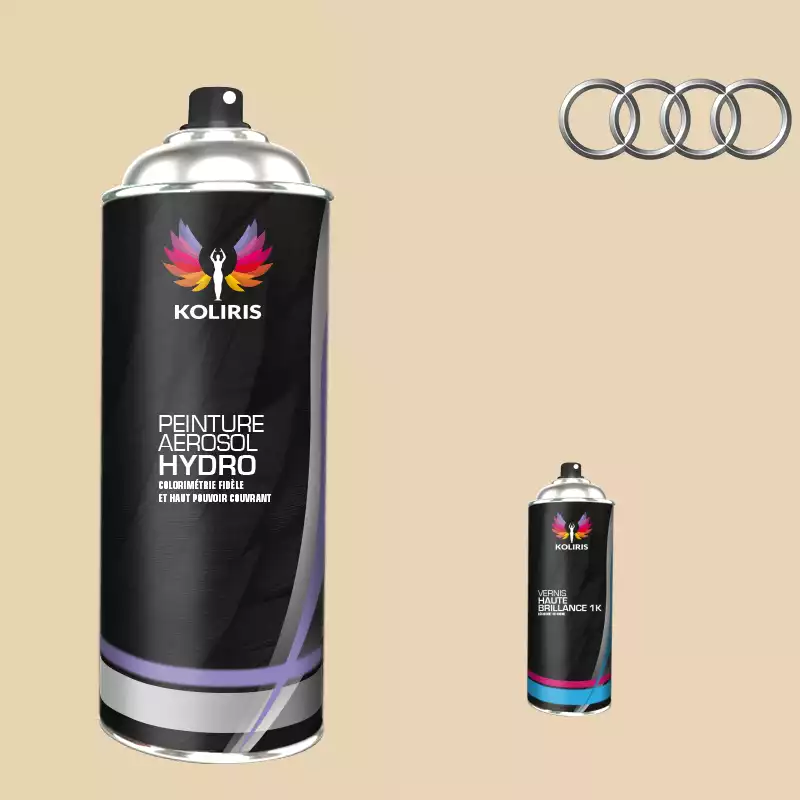 Pack 2 aérosols peinture voiture hydro Audi 400ml
