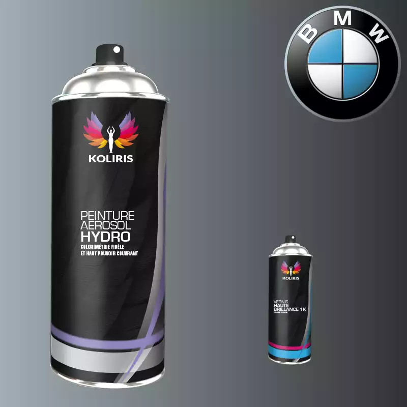 Pack 2 aérosols peinture voiture hydro Bmw 400ml