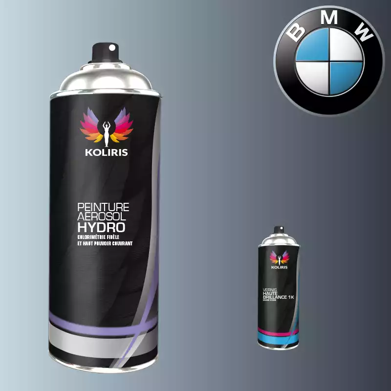 Pack 2 aérosols peinture voiture hydro Bmw 400ml