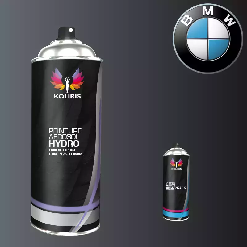 Pack 2 aérosols peinture voiture hydro Bmw 400ml