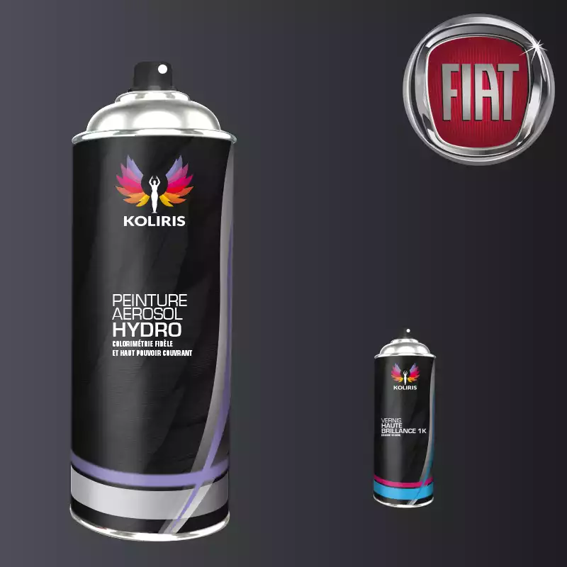 Pack 2 aérosols peinture voiture hydro Fiat 400ml