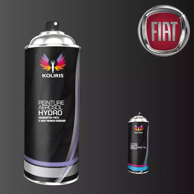 Pack 2 aérosols peinture voiture hydro Fiat 400ml