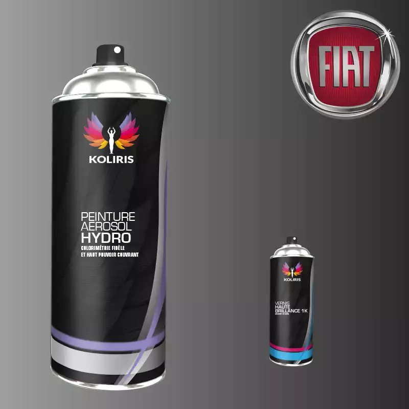 Pack 2 aérosols peinture voiture hydro Fiat 400ml