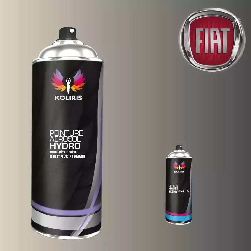 Pack 2 aérosols peinture voiture hydro Fiat 400ml