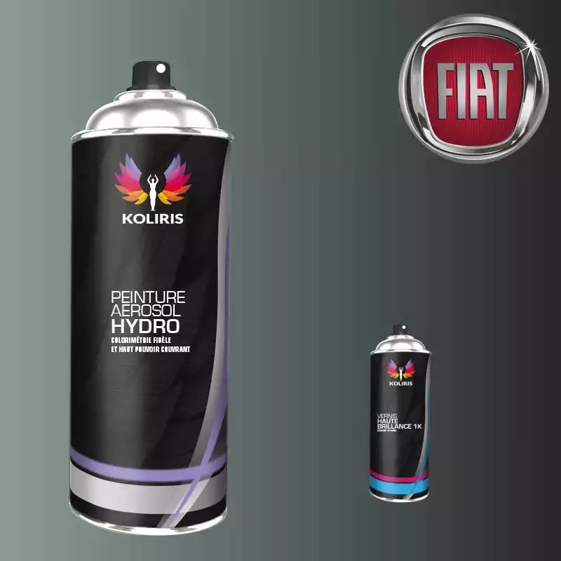 Pack 2 aérosols peinture voiture hydro Fiat 400ml