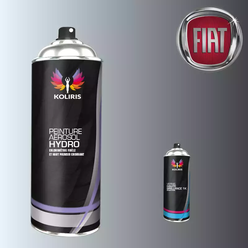 Pack 2 aérosols peinture voiture hydro Fiat 400ml