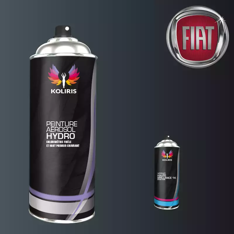 Pack 2 aérosols peinture voiture hydro Fiat 400ml