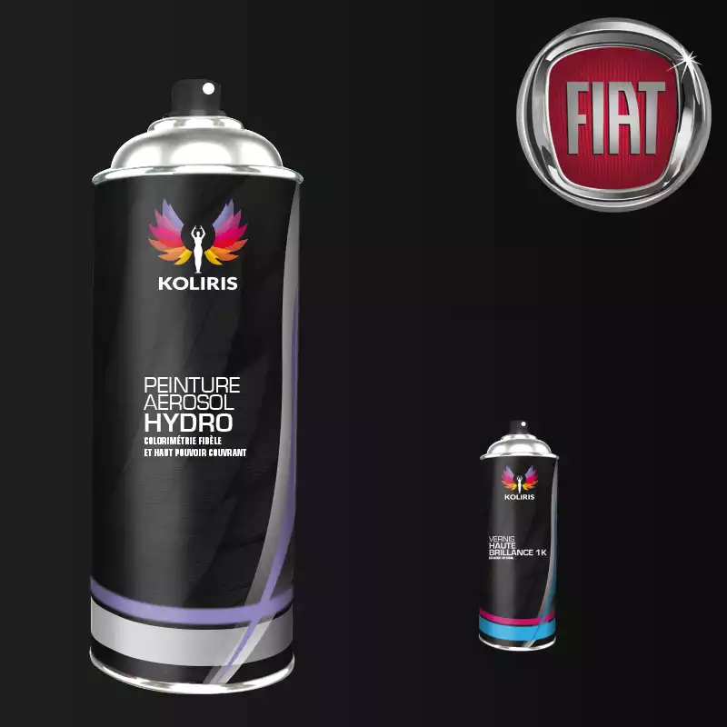 Pack 2 aérosols peinture voiture hydro Fiat 400ml