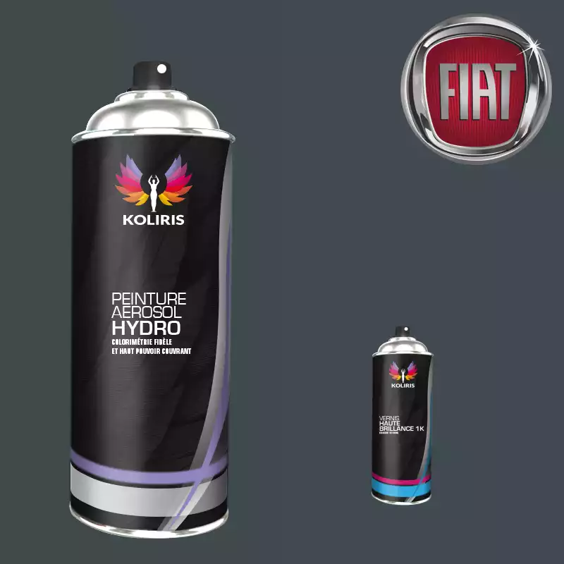 Pack 2 aérosols peinture voiture hydro Fiat 400ml