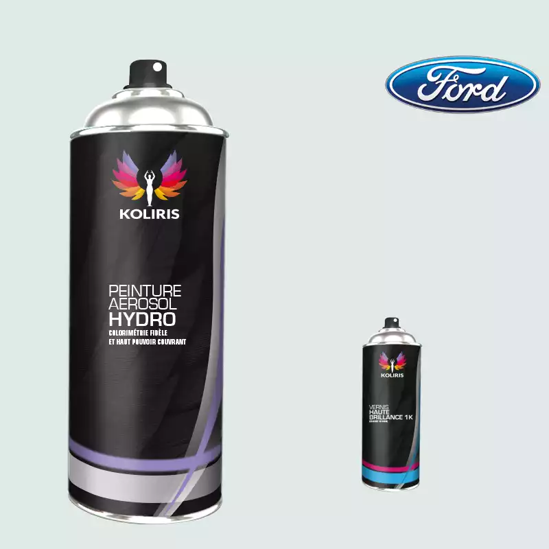 Pack 2 aérosols peinture voiture hydro Ford 400ml