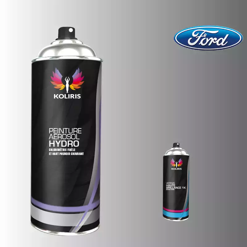 Pack 2 aérosols peinture voiture hydro Ford 400ml