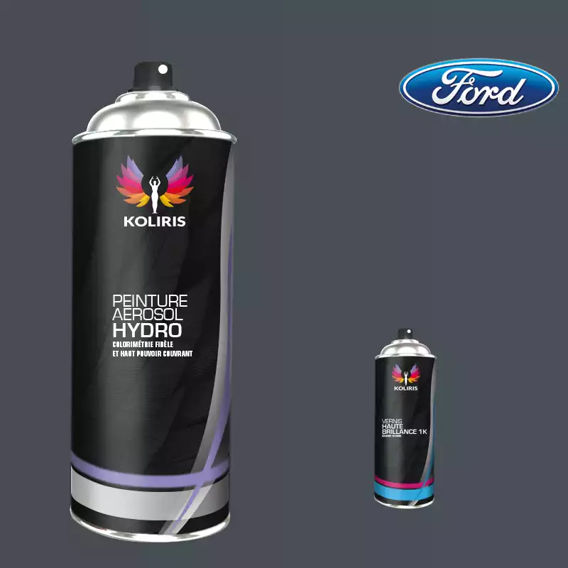 Pack 2 aérosols peinture voiture hydro Ford 400ml