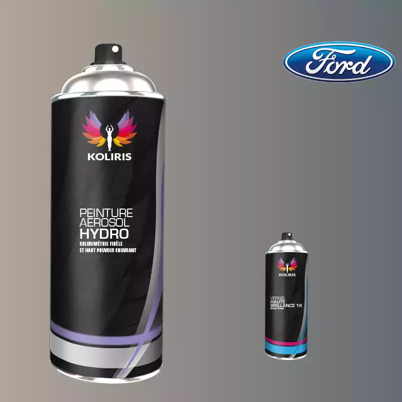 Pack 2 aérosols peinture voiture hydro Ford 400ml