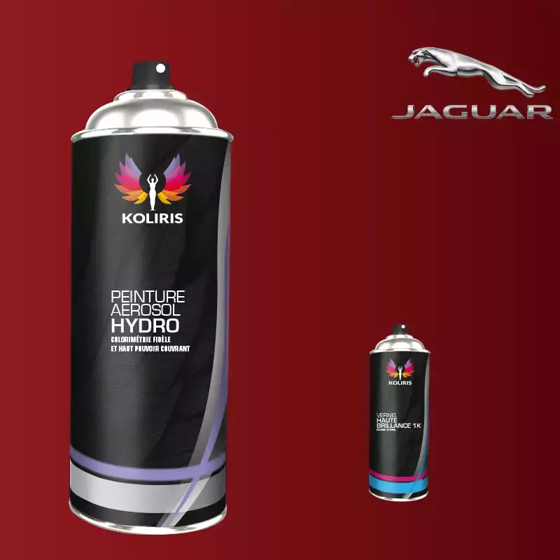 Pack 2 aérosols peinture voiture hydro Jaguar 400ml