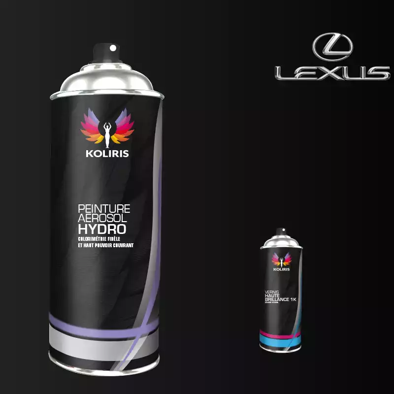Pack 2 aérosols peinture voiture hydro Lexus 400ml