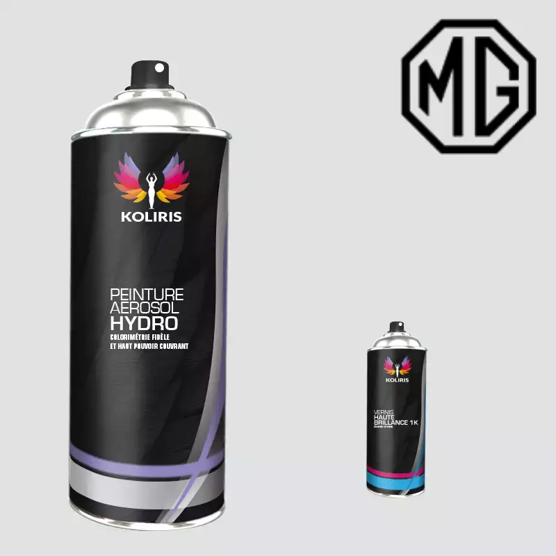 Pack 2 aérosols peinture voiture hydro Mg 400ml