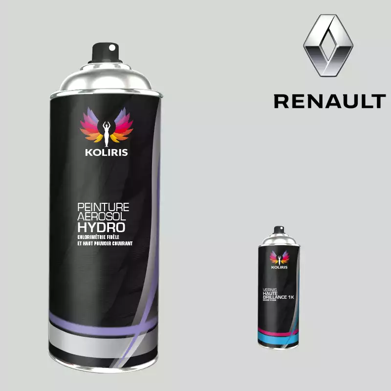 Pack 2 aérosols peinture voiture hydro Renault 400ml