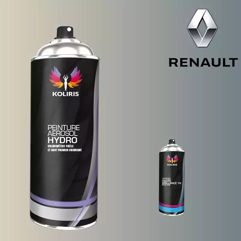 Pack 2 aérosols peinture voiture hydro Renault 400ml