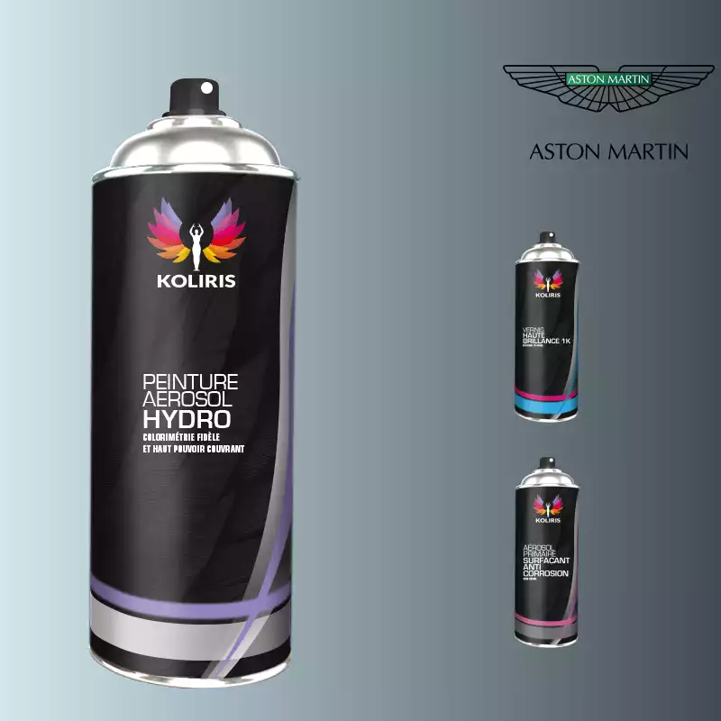 Pack 3 aérosols peinture voiture hydro Aston Martin 400ml