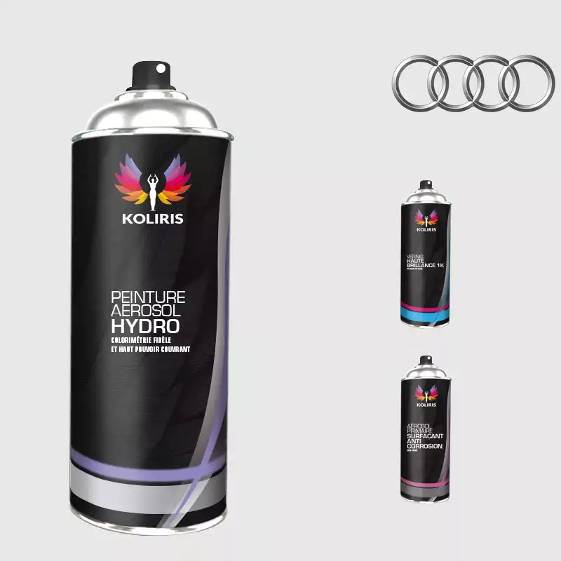 Pack 3 aérosols peinture voiture hydro Audi 400ml