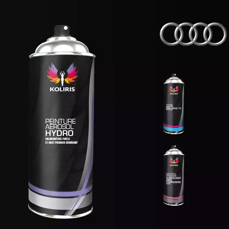 Pack 3 aérosols peinture voiture hydro Audi 400ml