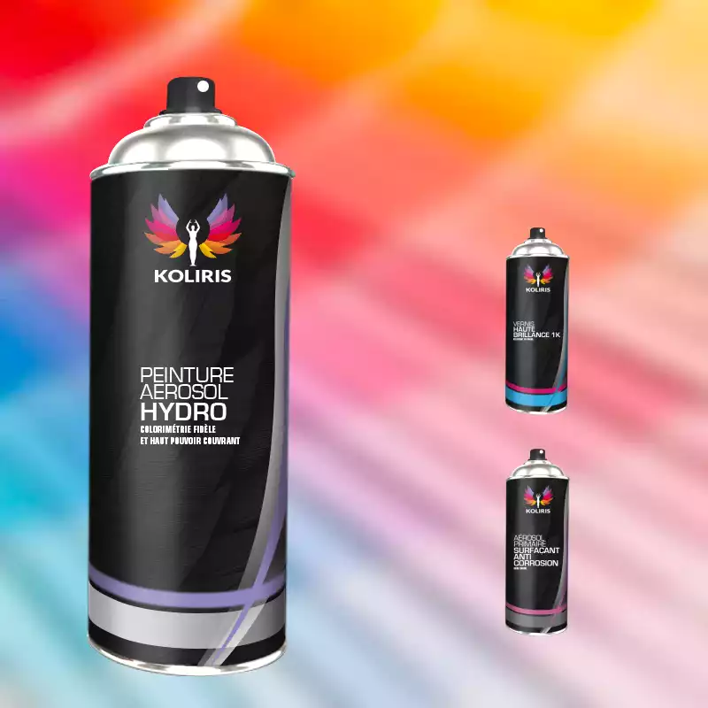 Pack 3 aérosols peinture voiture hydro Bmw 400ml