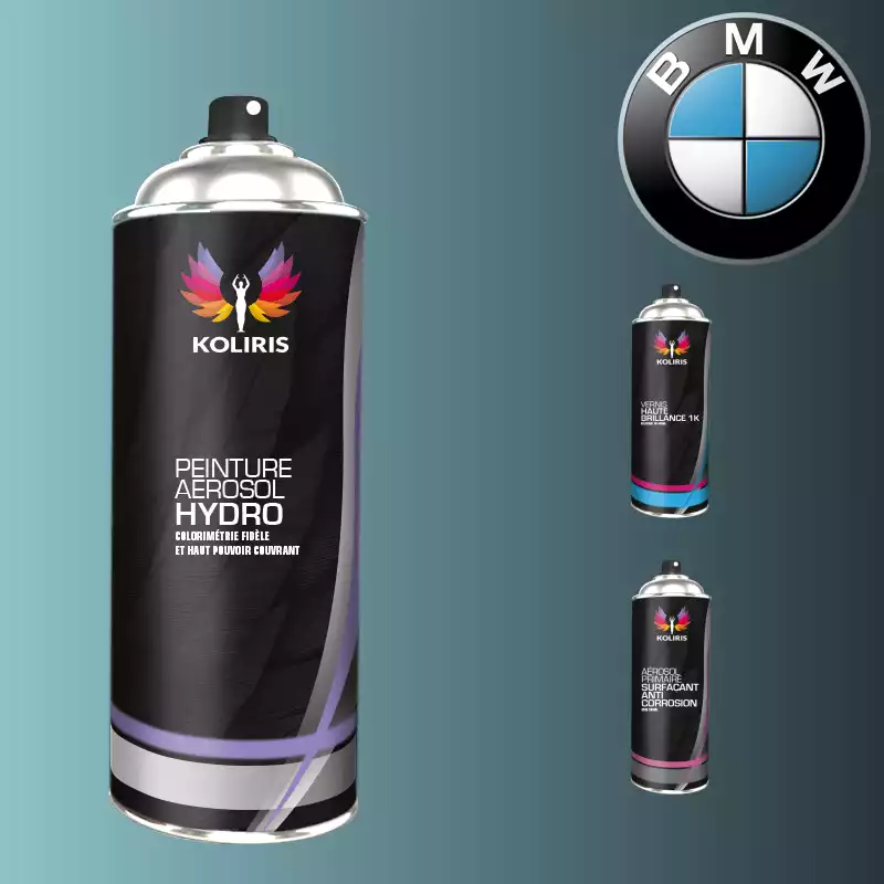 Pack 3 aérosols peinture voiture hydro Bmw 400ml